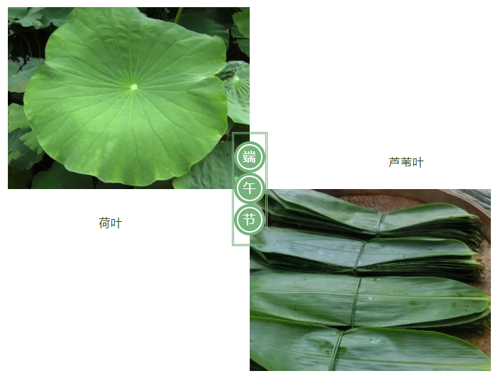 hth华体会官网医纺